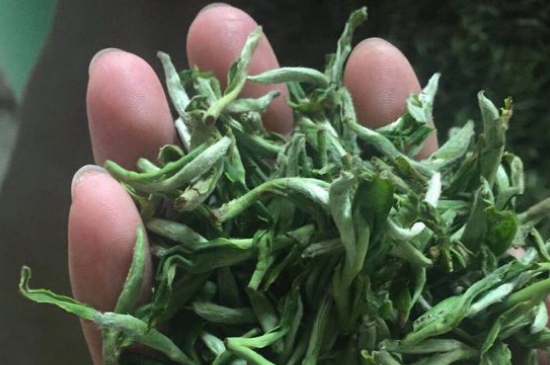 茉莉茶如何制作曬干，自制茉莉茶的做法