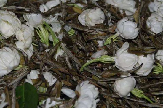 茉莉龍珠怎么做的，茉莉龍珠的制作工藝