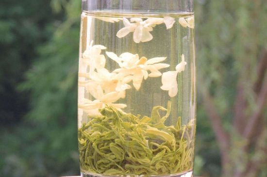 茉莉龍珠可以和什么一起泡茶，茉莉龍珠茶能加蜂蜜嗎？