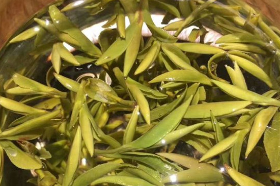 八大茶系都有哪幾種，八大茶系都是什么名字