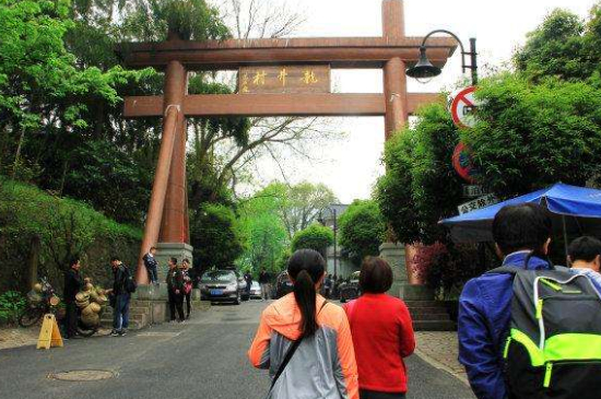 杭州買(mǎi)龍井茶攻略，怎么買(mǎi)到正宗的西湖龍井？