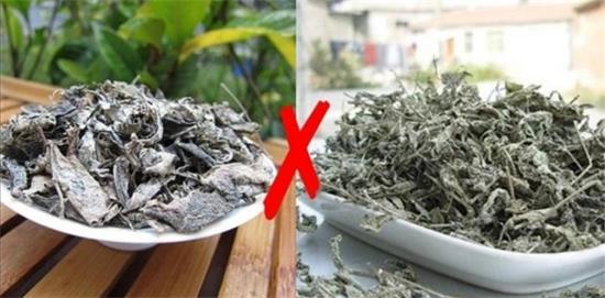 張家界茅巖莓茶與藤茶是同一種茶嗎，藤茶跟莓茶一不一樣？
