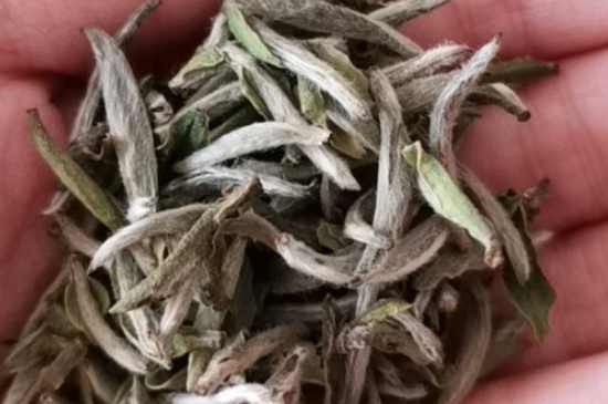 如何買(mǎi)茶葉不上當，怎么買(mǎi)茶葉不被坑？