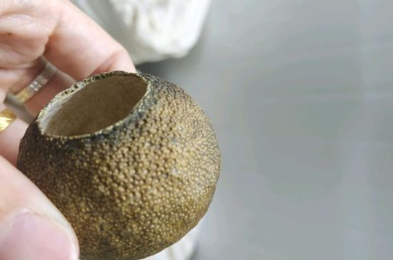 小青柑多少錢(qián)一盒，新會(huì )小青柑普茶價(jià)格一斤多少