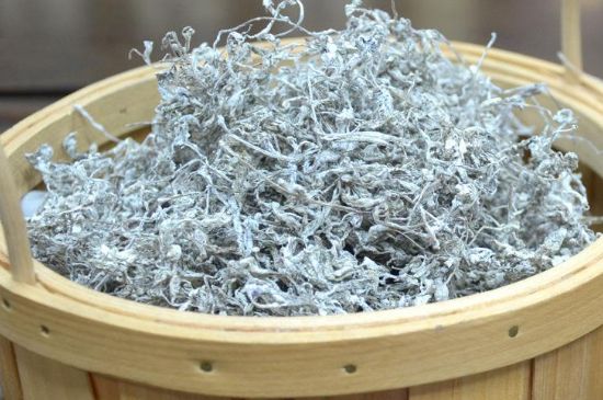 張家界莓茶真假對比，野生莓茶的鑒別方法
