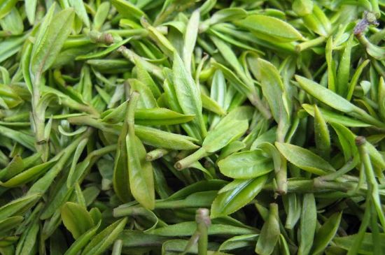 世界最貴的茶葉排行榜，十大最貴的茶