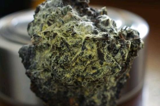 涇渭茯茶保質(zhì)期多久，陜西涇渭茯茶能放幾年