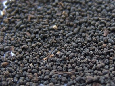 圓形顆粒狀茶是什么茶，像飼料一樣一粒粒的是什么茶？
