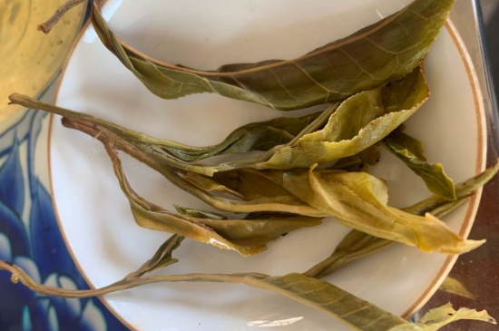 普洱茶十大學(xué)費茶排名，吉普H是學(xué)費茶？