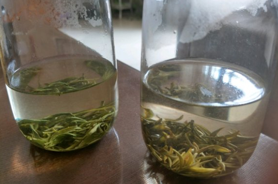 真假碧螺春泡水后區別，蘇州洞庭碧螺春怎樣鑒別好壞？