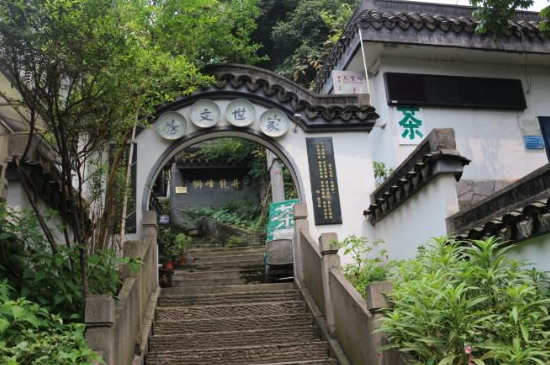 杭州龍井村買(mǎi)茶騙術(shù)，西湖龍井茶托騙局揭秘！