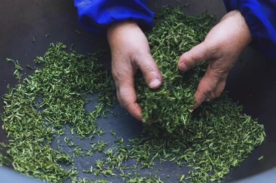 自家炒茶葉怎么炒，自己炒茶葉的步驟
