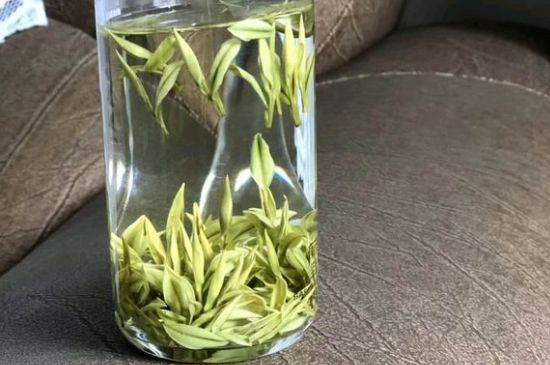 安吉白茶夏天怎么保存，安吉白茶能冷凍儲(chǔ)存嗎？