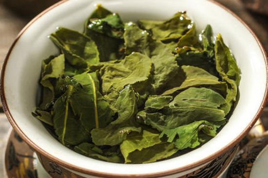 陳茶還是新茶好，茶葉是新茶好喝還是陳茶好喝