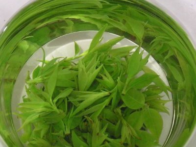 茶葉具有什么功效，茶葉的功效與作用大全