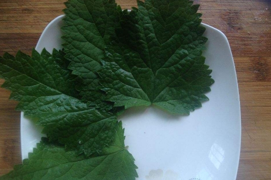 薄荷茶的功效與作用，喝薄荷茶有什么好處？
