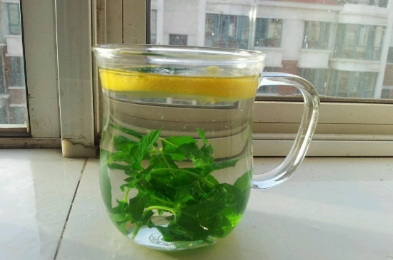 薄荷茶的功效與作用，喝薄荷茶有什么好處？