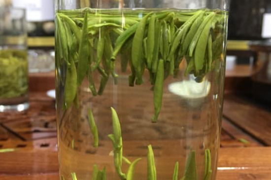 雀舌茶的副作用，雀舌茶什么人不能喝？
