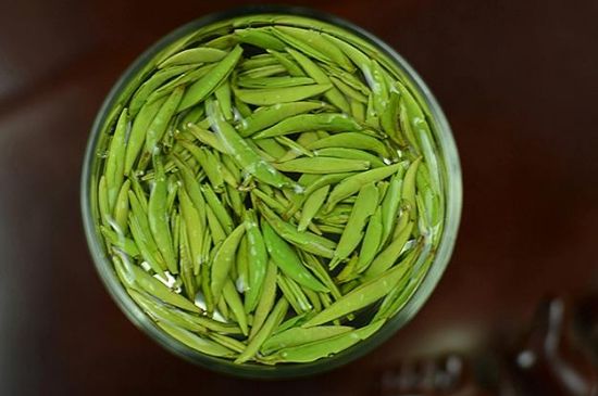 雀舌茶什么人不能喝，雀舌茶的功效與禁忌