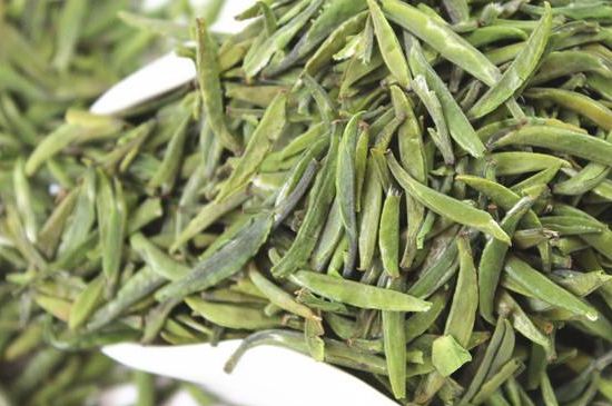雀舌茶什么人不能喝，雀舌茶的功效與禁忌