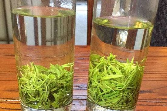 黃金茶的功效及禁忌癥，黃金茶有什么副作用嗎？