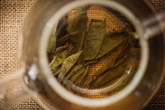 苦丁茶副作用，苦丁可以經(jīng)常喝嗎？