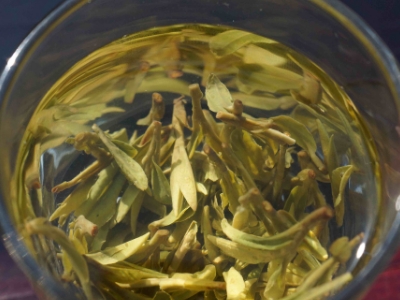 安吉白茶的功效與作用，簡(jiǎn)單概括安吉白茶功效