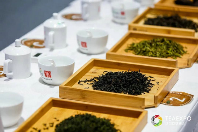 09def371bf03bb725e06f4c7a5d3c21a.jpg 09def371bf03bb725e06f4c7a5d3c21a.jpg