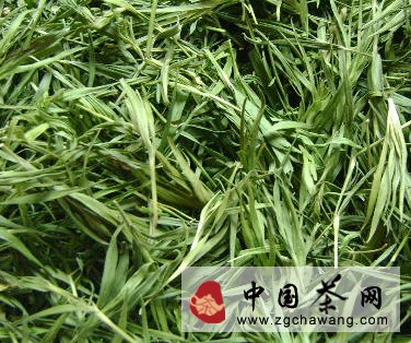 四川名茶:蒙頂,文君綠茶,青城雪芽,峨眉竹葉青,川紅工夫