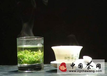苦丁茶屬于什么茶