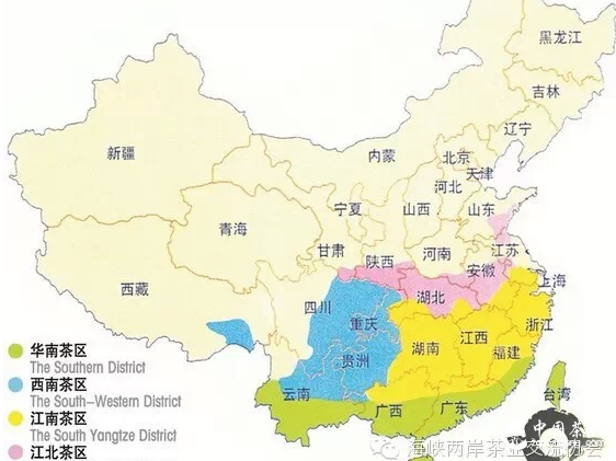 中國四大主茶區