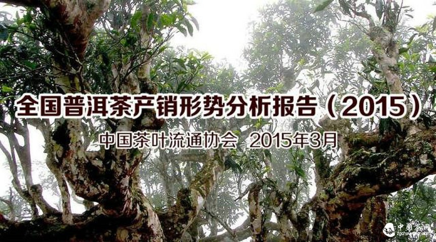 全國普洱茶產(chǎn)銷形勢分析報告（2015）