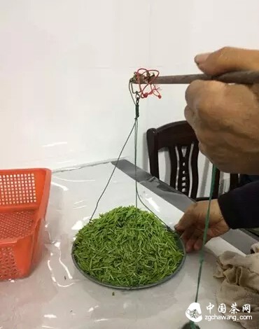 【茶播報(bào)】3月26日春茶播報(bào) 