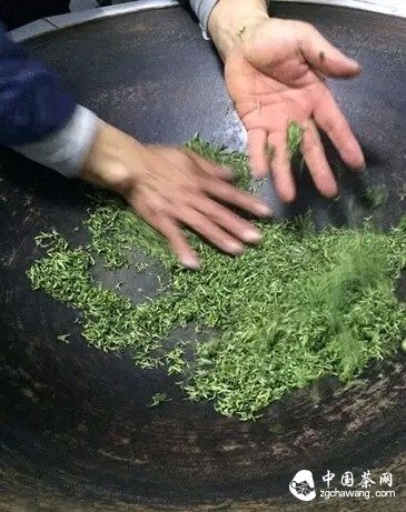【茶播報(bào)】3月26日春茶播報(bào) 