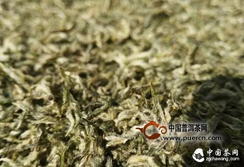【茶播報(bào)】3月26日春茶播報(bào) 