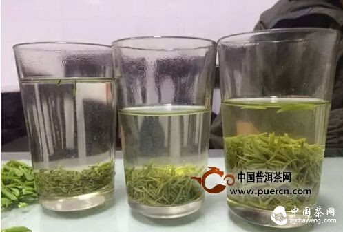 【茶播報(bào)】3月26日春茶播報(bào) 