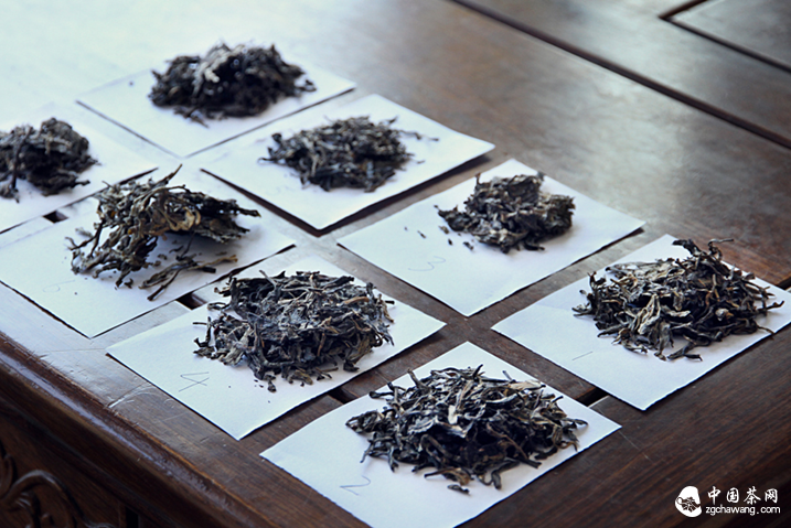 茶樣
