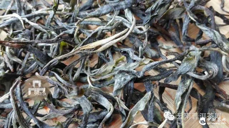 2015云南茶山全程實(shí)錄 千里足跡