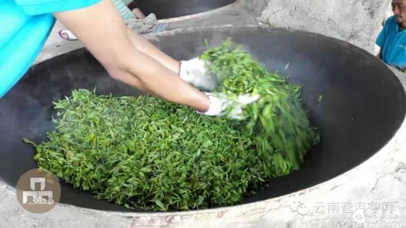 2015云南茶山全程實(shí)錄 千里足跡