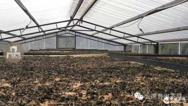 2015云南茶山全程實(shí)錄 千里足跡