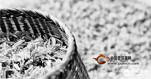 杭州龍塢茶農：雨前西湖龍井茶也還是不錯的