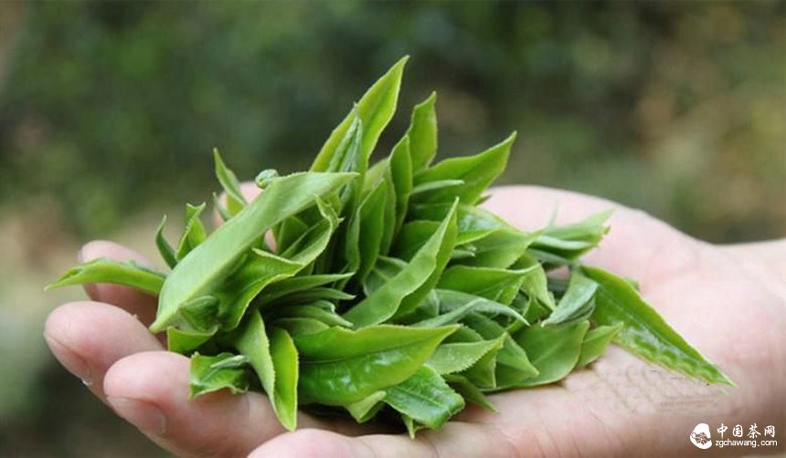 茶行業(yè)洗牌階段，茶企該以何立足？