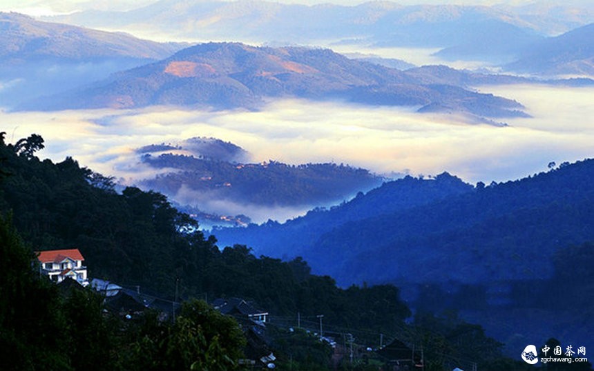 第七屆勐海茶王節開(kāi)幕 勐海建設中國普洱茶第一縣