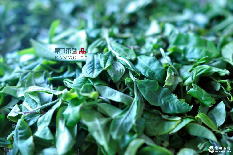 如約——相愛 穿梭在漫漫茶路上