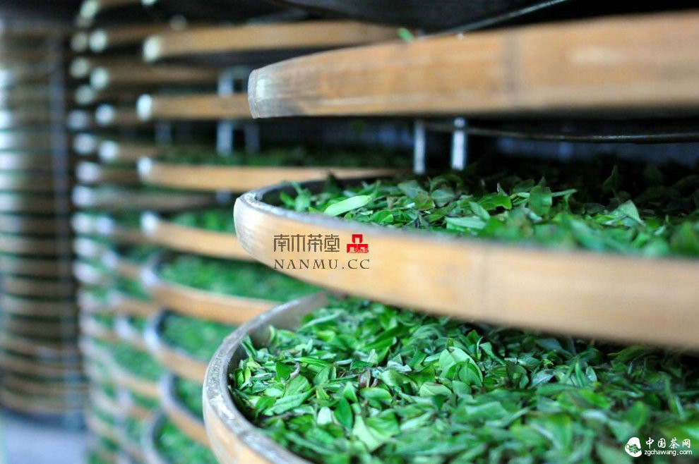 如約——相愛 穿梭在漫漫茶路上