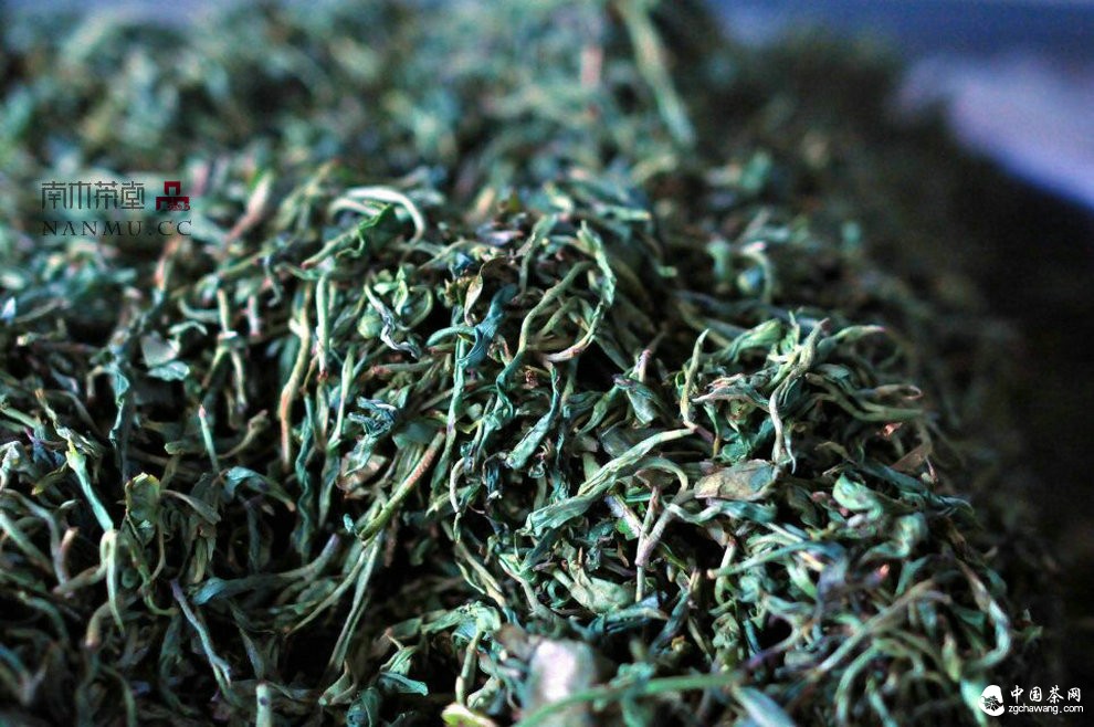 如約——相愛 穿梭在漫漫茶路上