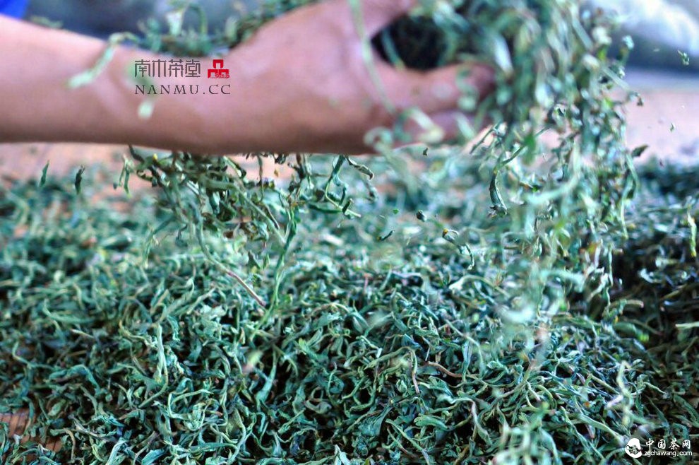 如約——相愛 穿梭在漫漫茶路上