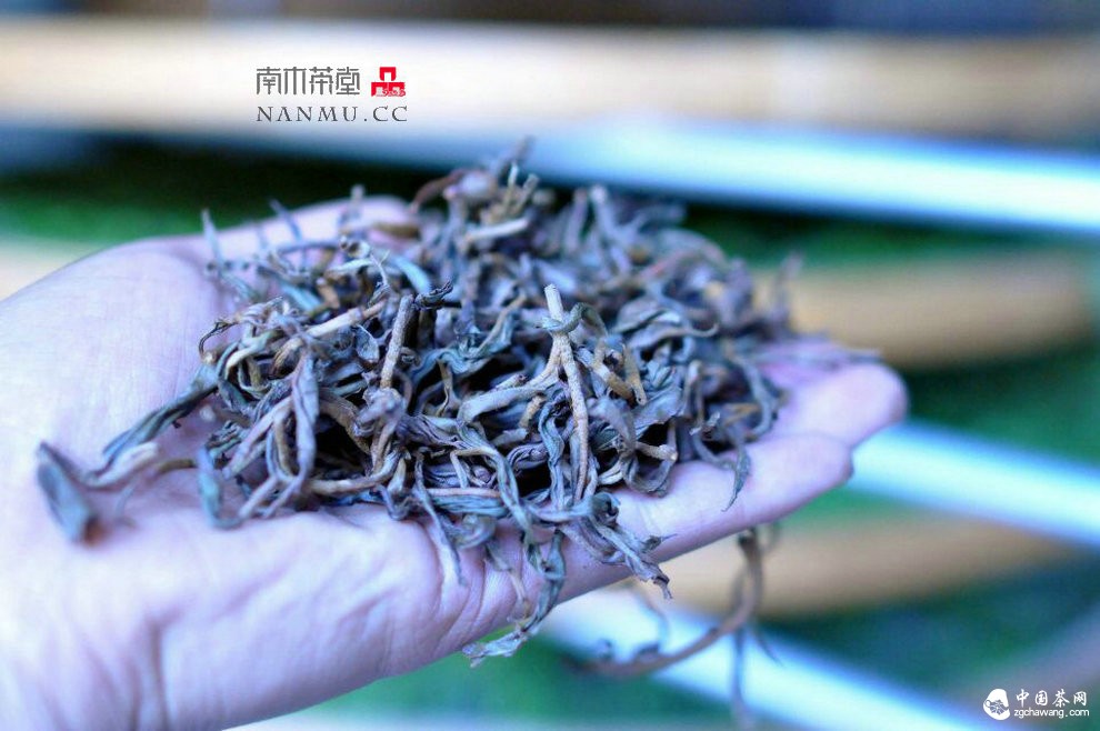 如約——相愛 穿梭在漫漫茶路上