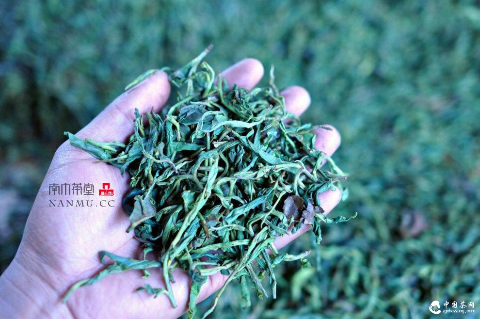 如約——相愛 穿梭在漫漫茶路上