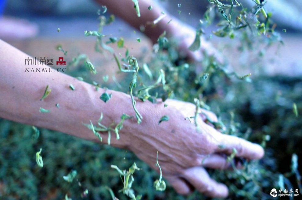 如約——相愛 穿梭在漫漫茶路上